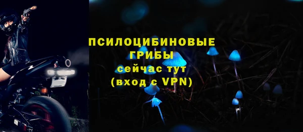 круглые Няндома