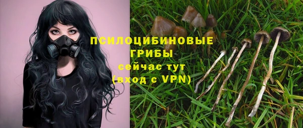 МДМА Новодвинск