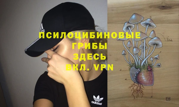 круглые Няндома